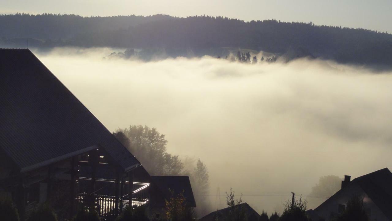 Wilkowka Villa Wolkowyja Luaran gambar